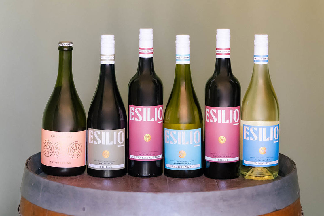 P1032683 Edit 1 Cropped