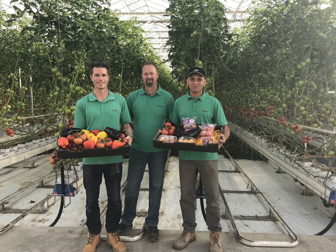 Nick Goode Andrew Potter and Harish Kumar Chauhan P Petual