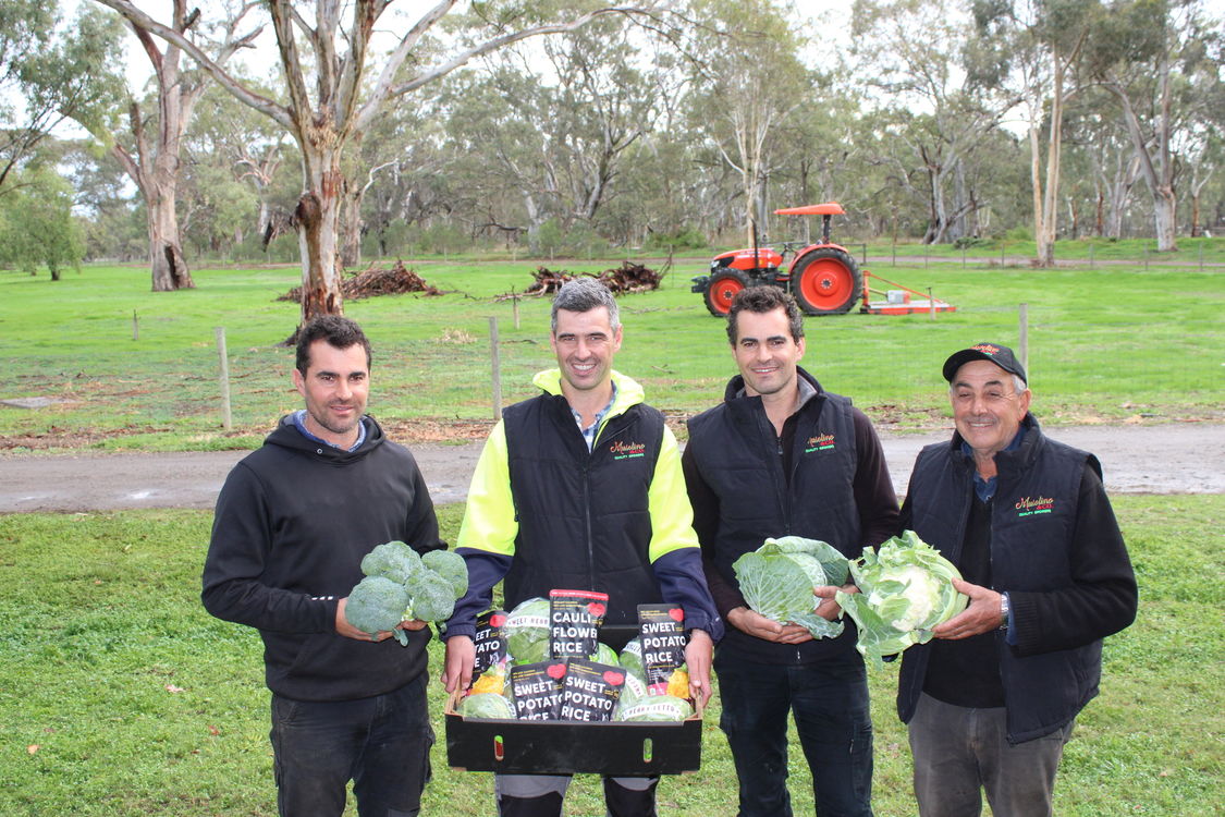 Paul, Christopher, Steven and Frank Musolino T Musolino and Co