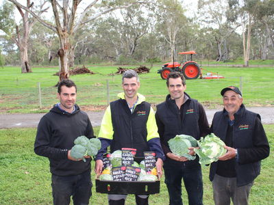 Paul Christopher Steven and Frank Musolino T Musolino and Co