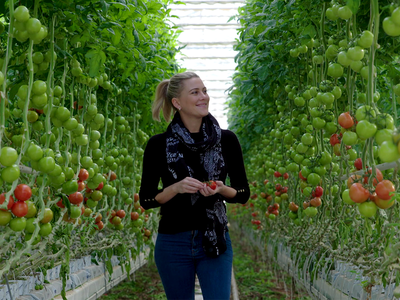 P Petual teaser image